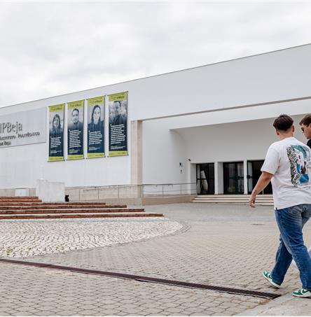 Foto | Ricardo Zambujo