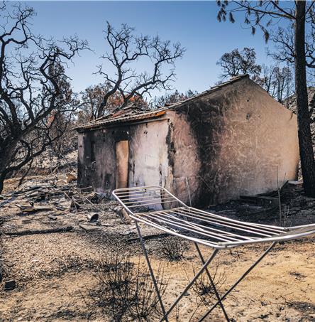 Foto| Ricardo Zambujo