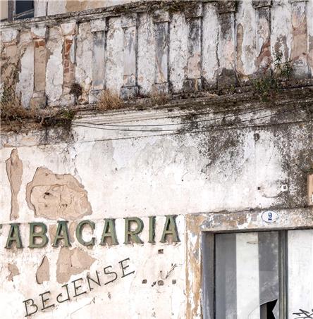 Foto| Ricardo Zambujo