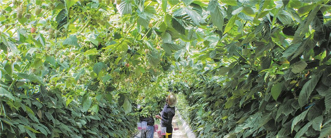 Foto José Serrano/Arquivo