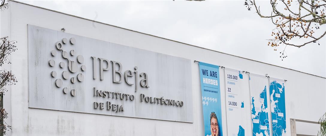 Foto | Ricardo Zambujo