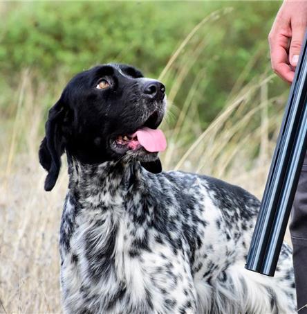 Foto | Câmara Municipal de Mértola