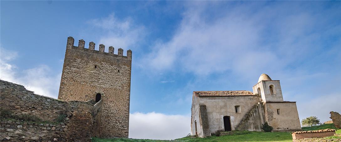 Foto | Ricardo Zambujo