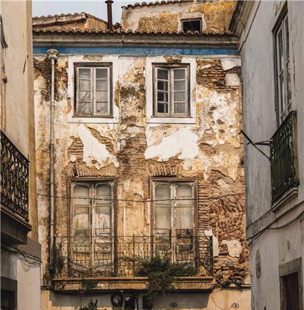 Foto | Ricardo Zambujo