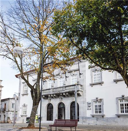 Foto| Ricardo Zambujo