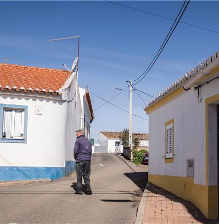 Foto | Ricardo Zambujo