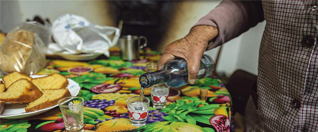 Foto | Ricardo Zambujo