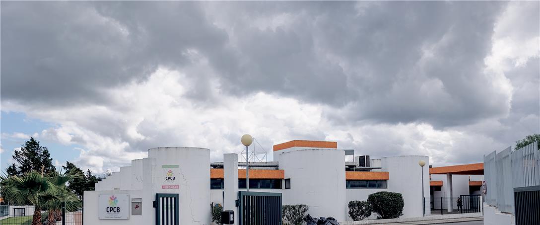 Foto| Ricardo Zambujo