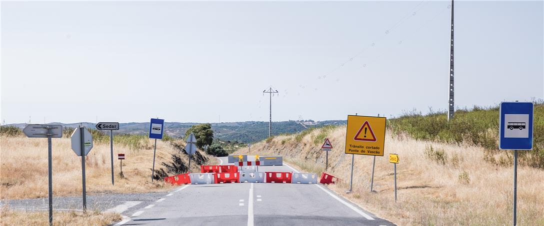 Foto | Ricardo Zambujo