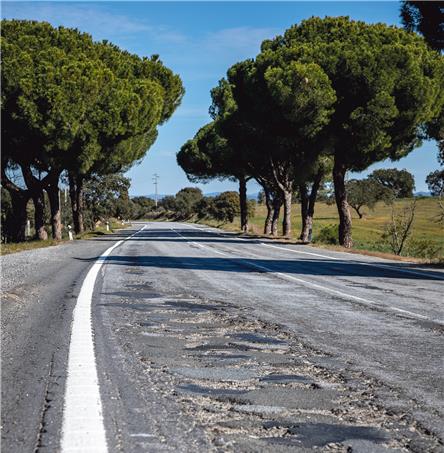 Foto | Ricardo Zambujo