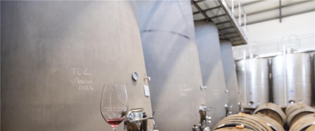 Foto | Ricardo Zambujo