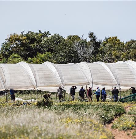 Foto | Ricardo Zambujo