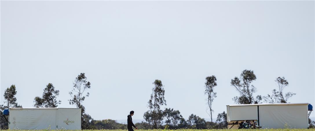 Foto | Ricardo Zambujo