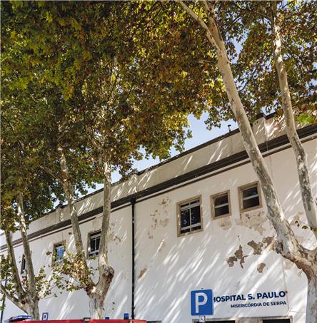 Foto | Ricardo Zambujo