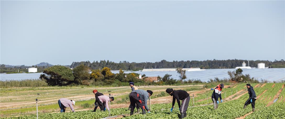 Foto | Ricardo Zambujo