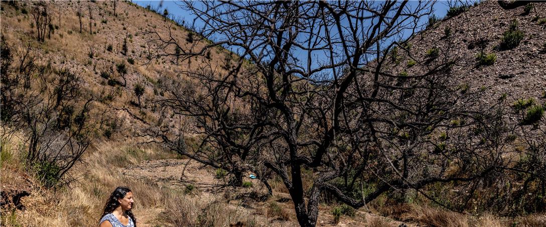 Foto | José Serrano