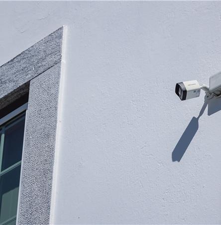 Foto | Ricardo Zambujo