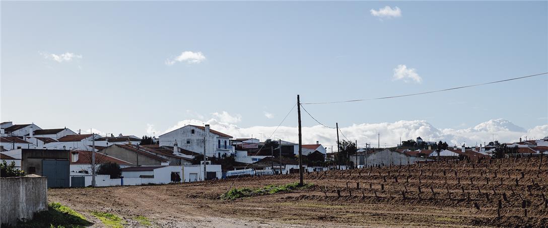 Foto | Ricardo Zambujo