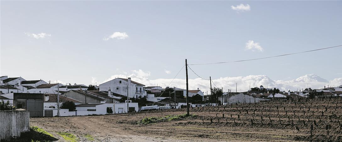 Foto | Ricardo Zambujo