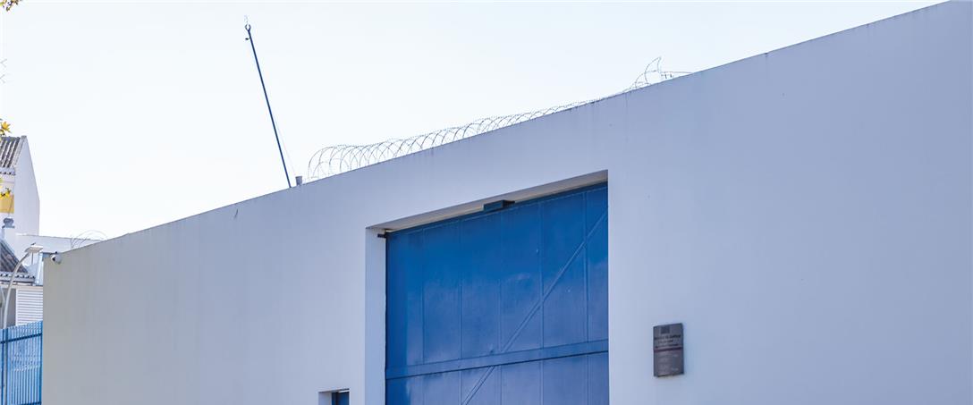 Foto | Ricardo Zambujo