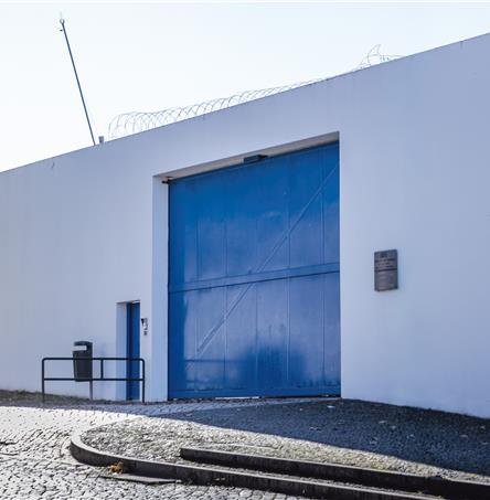 Foto | Ricardo Zambujo