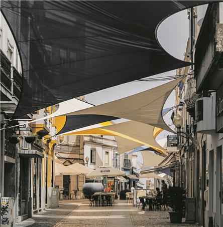 Foto | Ricardo Zambujo