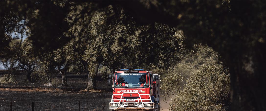 Foto | Ricardo Zambujo