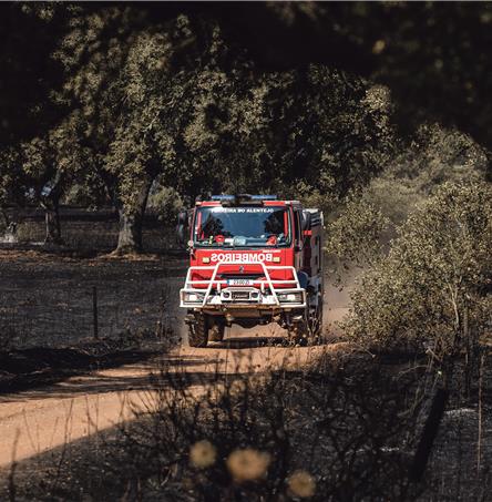 Foto | Ricardo Zambujo