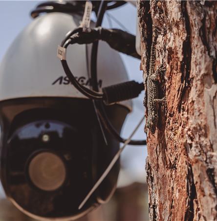 Foto | Ricardo Zambujo