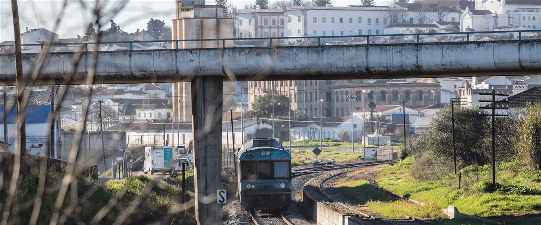 Foto| Ricardo Zambujo