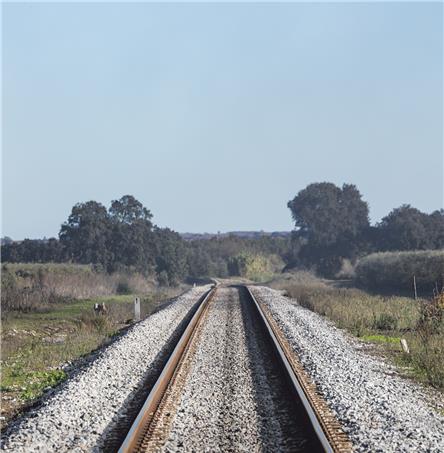 Foto | Ricardo Zambujo