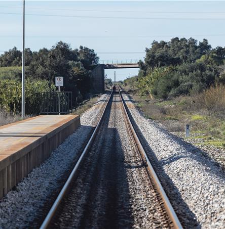 Foto | Ricardo Zambujo