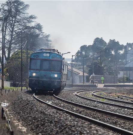 Foto | Ricardo Zambujo