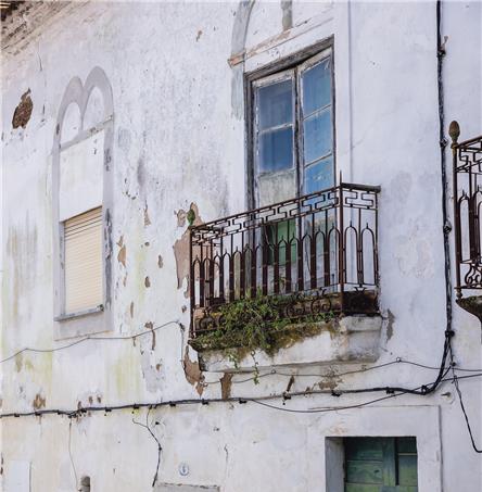 Foto | Ricardo Zambujo