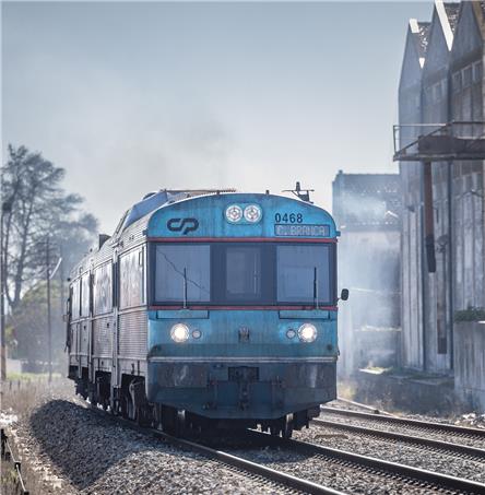 Foto | Ricardo Zambujo