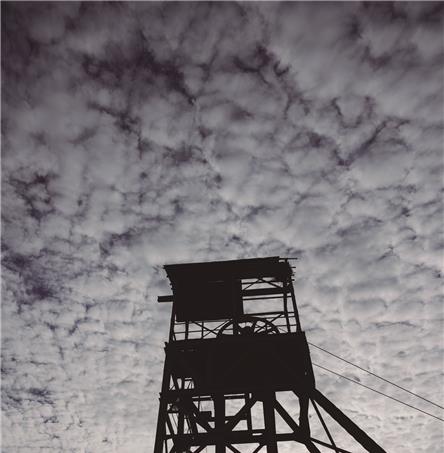 Foto | Ricardo Zambujo