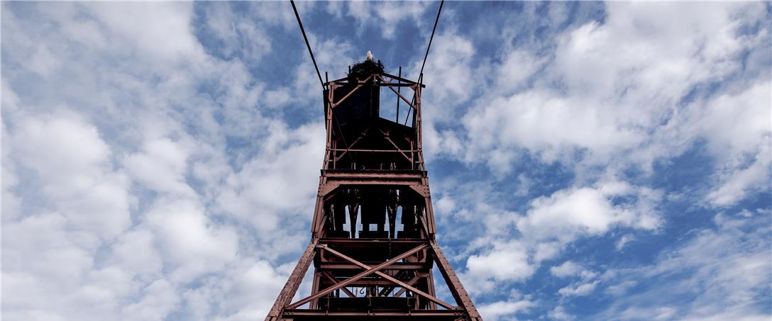 Foto | Ricardo Zambujo