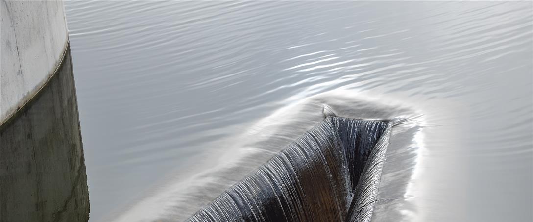 Foto | Ricardo Zambujo