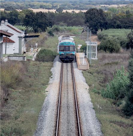 Foto | Ricardo Zambujo
