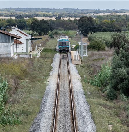 Foto | Ricardo Zambujo