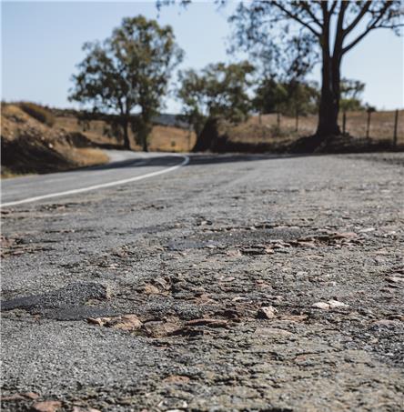 Foto | Ricardo Zambujo