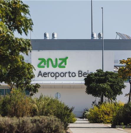 Foto | Ricardo Zambujo