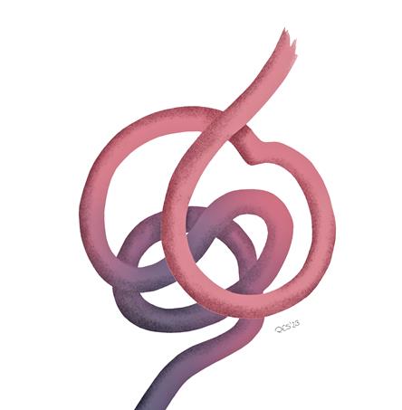 Ilustração | Pedro E. Santos