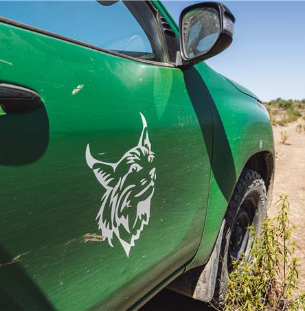 Fotos | Ricardo Zambujo