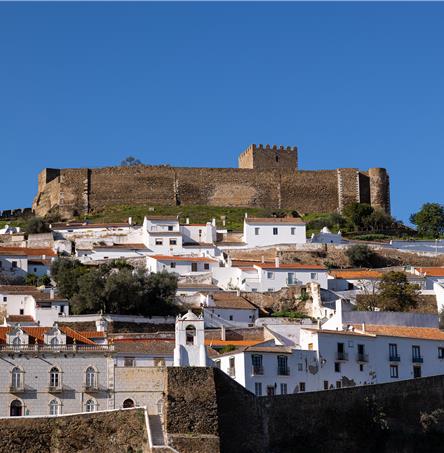 Foto | Ricardo Zambujo