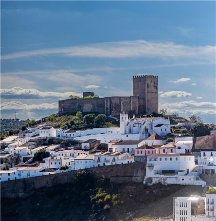 Fotos | Ricardo Zambujo