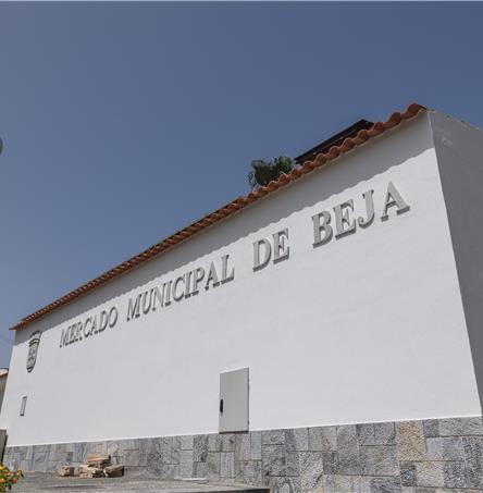 Foto | Ricardo Zambujo