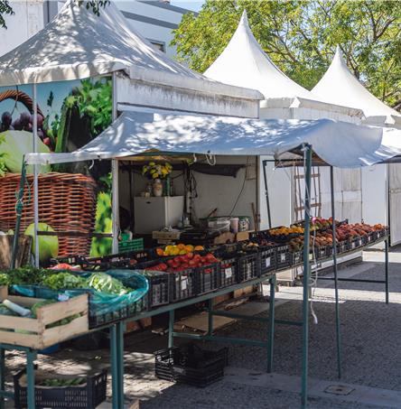 Foto | Ricardo Zambujo