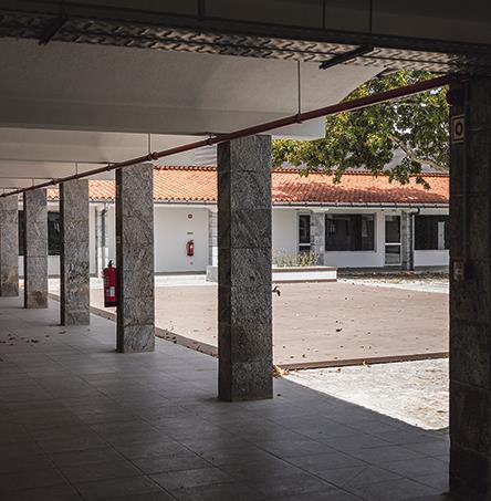 Foto | Ricardo Zambujo