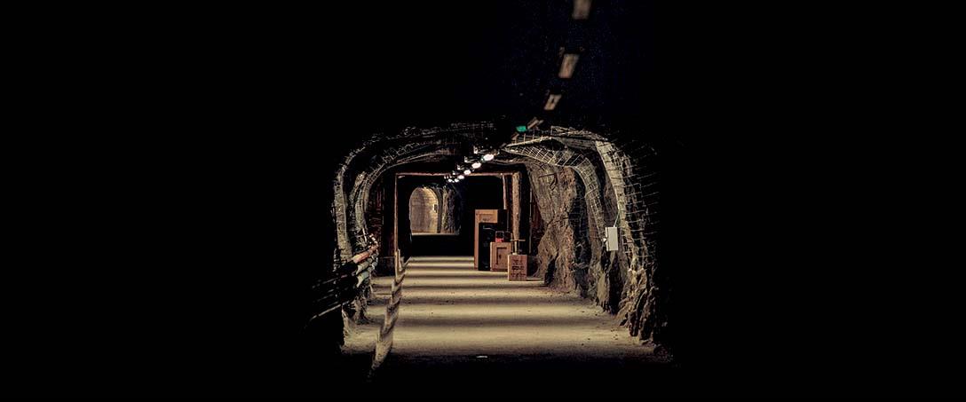 Foto | Ricardo Zambujo